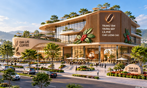 Gia Lai đấu giá đất xây Trung tâm cà phê chất lượng cao 287 tỷ đồng