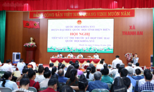 Huy động cao nhất mọi nguồn lực, phấn đấu hoàn thành toàn bộ các chỉ tiêu năm 2026