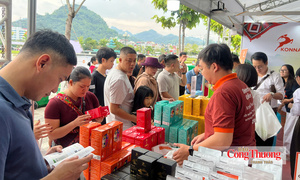 Sơn La: Cây cà phê mở hướng làm giàu cho đồng bào dân tộc thiểu số