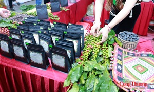 Đặc sản Sơn La thêm cơ hội vươn xa từ xúc tiến thương mại