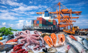 Food Code 2026: Những điểm mới doanh nghiệp xuất khẩu thủy sản cần biết