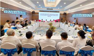 Doanh nghiệp vùng Đồng bằng sông Cửu Long kiến nghị tháo gỡ điểm nghẽn để tăng trưởng