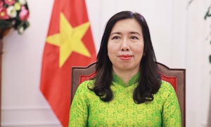 Tạo xung lực mới cho quan hệ Việt Nam với các đối tác châu Âu