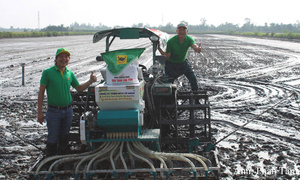 Doanh nghiệp Thương hiệu quốc gia: Nâng tầm giá trị nông nghiệp Việt