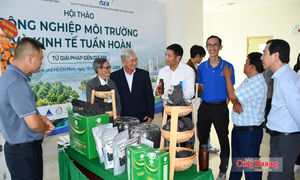 Kinh tế tuần hoàn mở hướng phát triển mới ngành công nghiệp môi trường