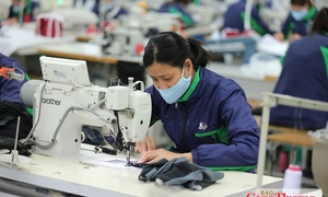 Gỡ nút thắt xuất xứ CPTPP: Dệt may chuyển hướng nguồn cung