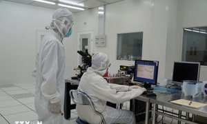 Kết luận số 105-KL/TW về thu hút và trọng dụng nhân tài trong các ngành, lĩnh vực mũi nhọn, phục vụ đất nước phát triển nhanh, bền vững