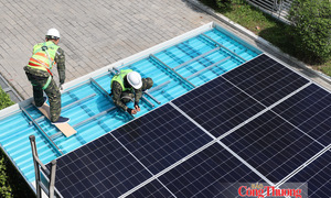 TP. Hồ Chí Minh hướng tới khai thác nguồn điện từ một triệu mái nhà