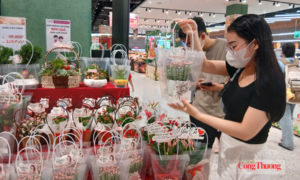 Thị trường quà tặng 20/10: Hoa tươi đắt khách, quà tặng đa dạng mẫu mã