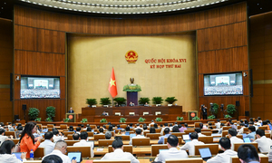 Luật Phát triển doanh nghiệp nhỏ và vừa đề xuất nhiều chính sách mới