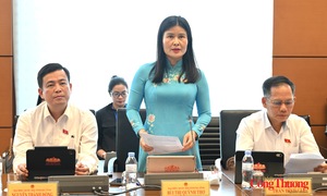 Đại biểu Quốc hội góp ý hoàn thiện Luật Phát triển doanh nghiệp nhỏ và vừa