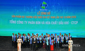 PVFCCo - Phú Mỹ lần thứ 7 liên tiếp đạt Thương hiệu quốc gia Việt Nam