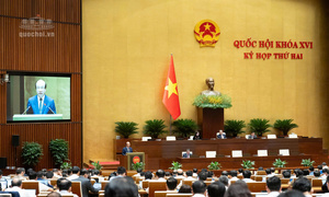 Ngày 19/10/2026: Quốc hội thảo luận về Bộ luật hình sự (sửa đổi)