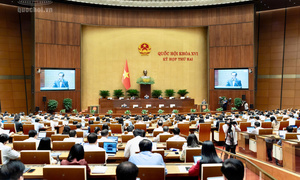 Luật Thỏa thuận quốc tế (sửa đổi): Mở rộng chủ thể ký kết, rút gọn mạnh thủ tục