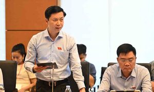 Đại biểu Quốc hội: Vốn phải đến đúng lúc, đúng nơi, đúng việc