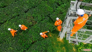 Thế giới tổ chức ngành điện và định giá điện thế nào? Kỳ 4 - Mở cửa thị trường và chuyển dịch năng lượng: Điện có rẻ hơn?