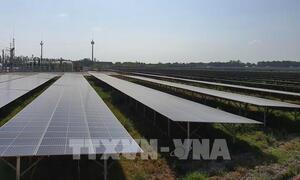 Nhật Bản tăng tốc hiện đại hóa lưới điện, mở rộng năng lượng tái tạo