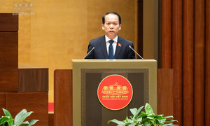 Đề xuất cấm tham gia đấu giá đối với cá nhân 'bỏ cọc'