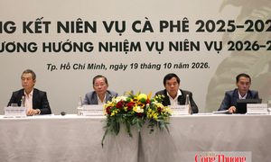 Tổng kết niên vụ cà phê 2025-2026: Doanh nghiệp nào dẫn đầu xuất khẩu?