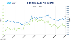 Giá cà phê Arabica tăng vọt hơn 6,5%