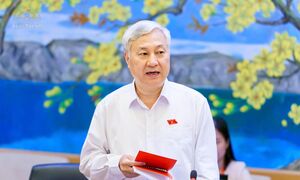Đại biểu Quốc hội: Nâng chất lượng dự toán, nuôi dưỡng nguồn thu ngân sách bền vững