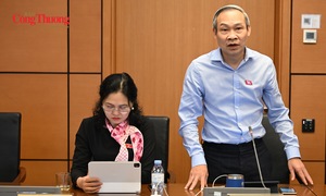 Đại biểu đề nghị bỏ rào cản bằng đại học với đấu giá viên