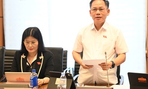 Đại biểu kiến nghị siết quản lý đấu giá, hoàn thiện quy định hành nghề luật sư