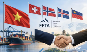 FTA thứ 18 và 'đường băng' hội nhập ngày càng rộng mở