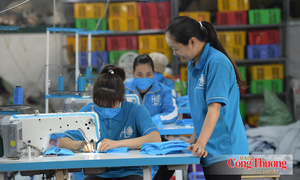 Xây chuỗi cung ứng nội khối, gia tăng giá trị từ CPTPP