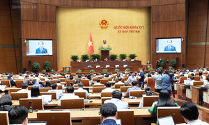 Luật Luật sư (sửa đổi): Thể chế hóa quan điểm chỉ đạo của Đảng về nâng cao tiêu chuẩn luật sư