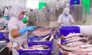Mặt hàng nào có khả năng chinh phục thị trường Halal Indonesia?