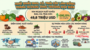 Lâm Đồng: Rau, củ, trái cây xuất khẩu tăng gần 300%
