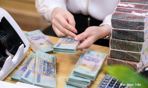 Ngân hàng đồng loạt giảm lãi suất, tiếp sức doanh nghiệp cuối năm