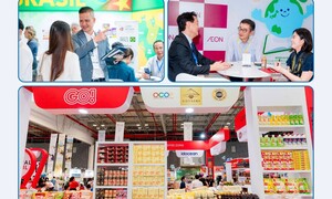 Nữ cán bộ thương vụ: Nối hàng Việt với thế giới bằng trí tuệ và sự tận tâm