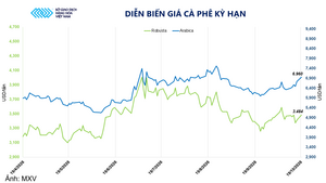 Giá cà phê tăng mạnh phiên thứ hai liên tiếp, đạt mốc 6.960 USD/tấn