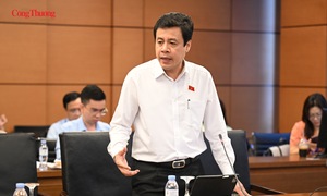 Đại biểu Quốc hội: Trao quyền ký thỏa thuận quốc tế cho cấp xã phải đi kèm trách nhiệm