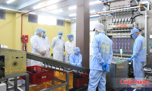 Gia Lai tập trung các giải pháp thúc đẩy tăng trưởng kinh tế quý IV/2026