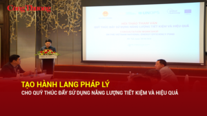 Tạo hành lang pháp lý cho Quỹ Thúc đẩy sử dụng năng lượng tiết kiệm và hiệu quả