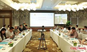 Bộ Công Thương tham vấn Quỹ Thúc đẩy sử dụng năng lượng tiết kiệm và hiệu quả