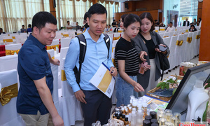 Thực thi VIFTA: Đưa ưu đãi thương mại đến gần hơn với doanh nghiệp