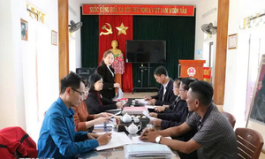 Ban Tổ chức Trung ương ban hành Hướng dẫn về sinh hoạt tổ đảng