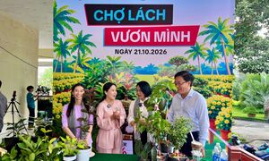 Vĩnh Long: Thương mại điện tử mở đường cho tiêu thụ nông sản