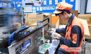 Công nghiệp hỗ trợ cần chuyển biến từ nội lực doanh nghiệp