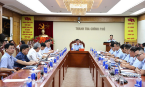 Thanh tra chuyên đề tại 5 địa phương về giải quyết khiếu nại, tố cáo