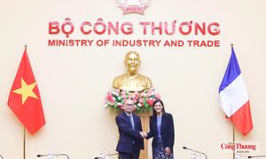 Việt Nam - Pháp mở rộng hợp tác thương mại, công nghiệp và năng lượng