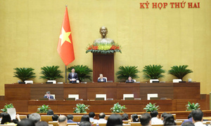 Luật Đất đai (sửa đổi): Thu hồi đất phải đáp ứng điều kiện 'thật sự cần thiết'