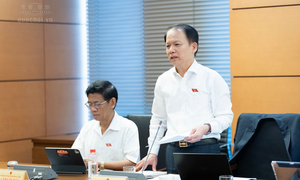 Bộ trưởng Bộ Tư pháp: Hoàn thiện đồng bộ thể chế đất đai, nhà ở để khơi thông nguồn lực