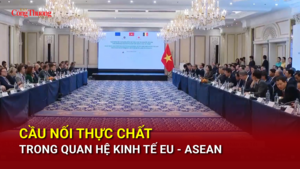 Cầu nối thực chất trong quan hệ kinh tế EU - ASEAN