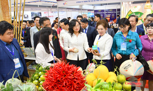 Thứ trưởng Phan Thị Thắng: Xuất khẩu xanh mở rộng thị trường quốc tế