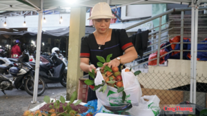 Đà Nẵng thúc đẩy thương mại xanh từ phiên chợ hạn chế túi nilon